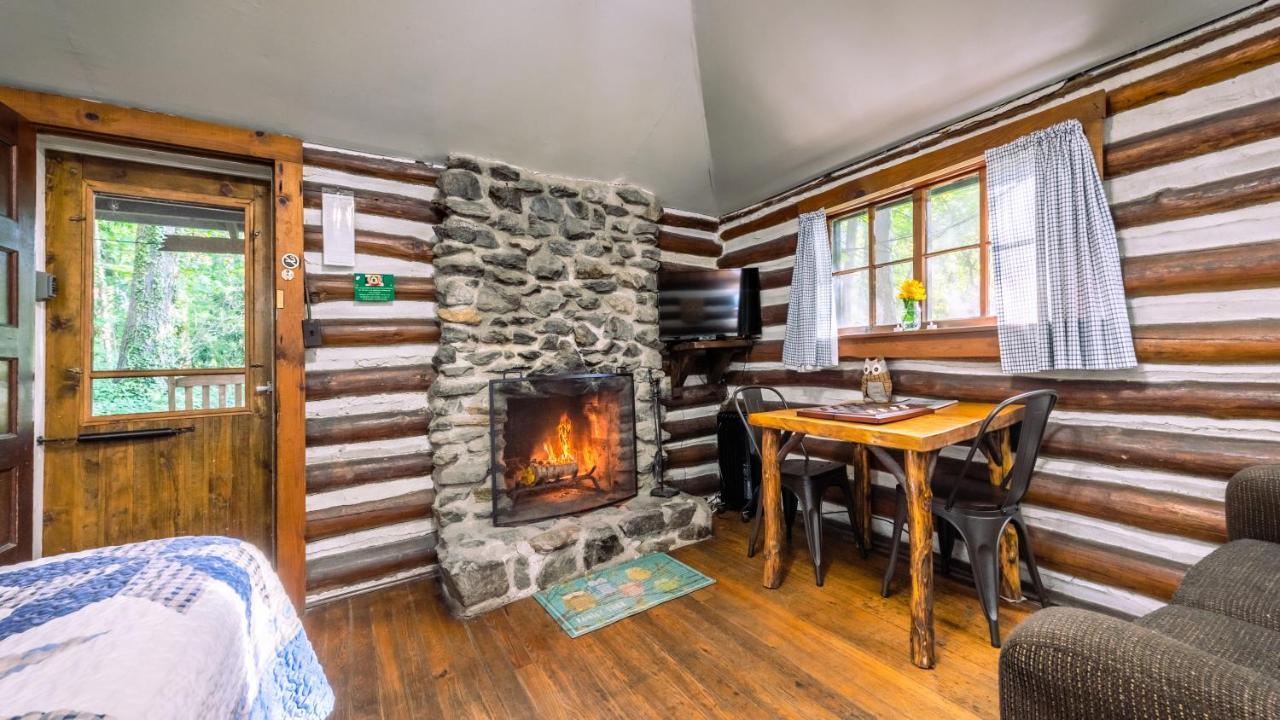 Log Cabin Motor Court Asheville Luaran gambar
