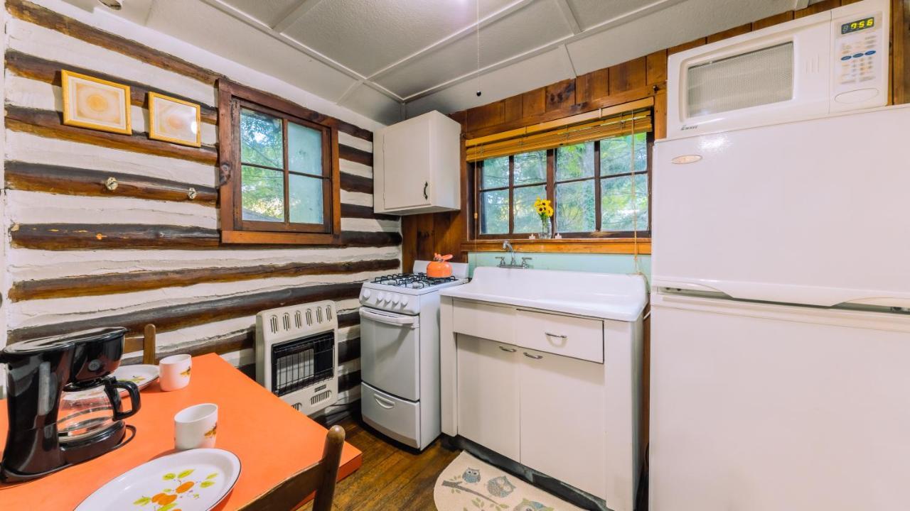 Log Cabin Motor Court Asheville Luaran gambar