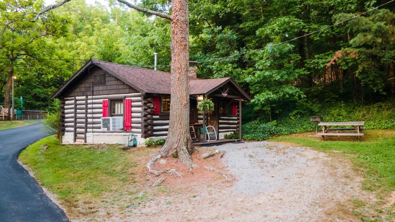 Log Cabin Motor Court Asheville Luaran gambar